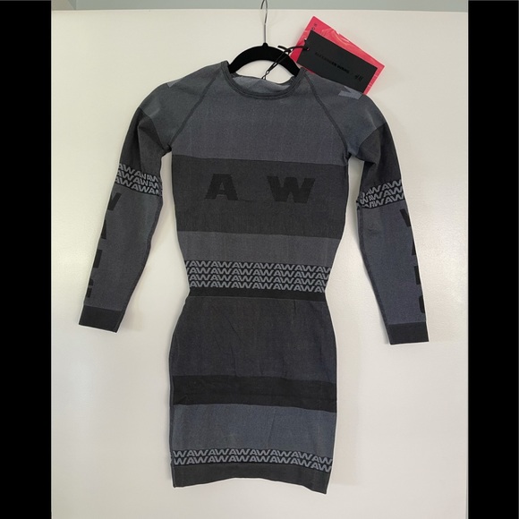 LAST ONE!  Alexander Wang x H&M Bodycon Dress - NWT - Small - Picture 2 of 10